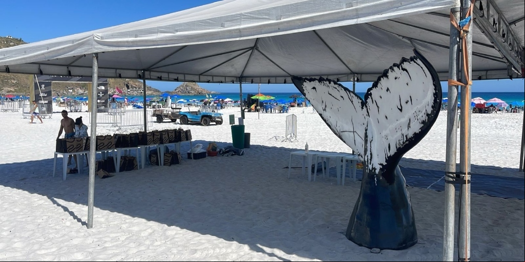 Exposição da cauda tem como objetivo a sensibilização e educação ambiental na cidade 
