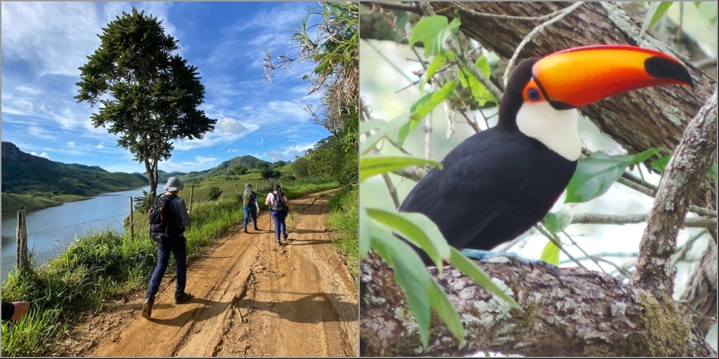 Trilhas íveis para prática da caminhada em meio ao sossego e ambiente rural 