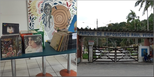 Encontro de Vinil em Friburgo e Festival Gastronômico em Cordeiro estão na agenda cultural desta semana