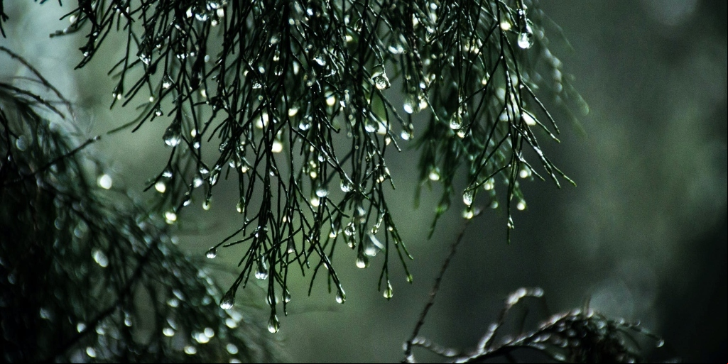 Meteorologista do Inmet explica como classificar a intensidade das chuvas