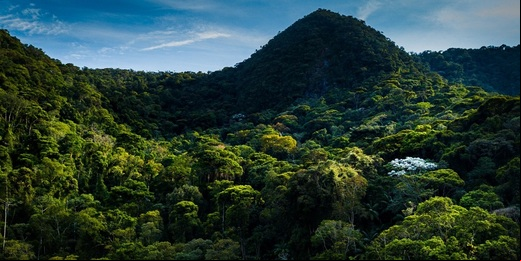 Estado do Rio de Janeiro chega à 100ª Reserva Particular do Patrimônio Natural